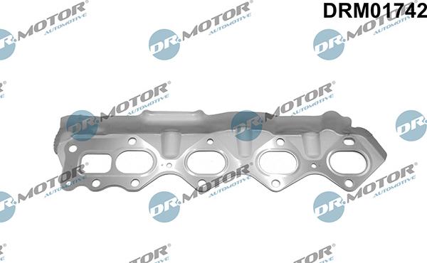 Lizarte DRM01742 - Guarnizione, Collettore gas scarico autozon.pro