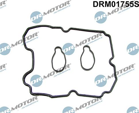 Lizarte DRM01755S - Kit guarnizioni, Copritestata autozon.pro