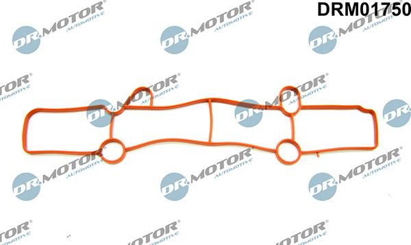 Lizarte DRM01750 - Guarnizione, Collettore aspirazione autozon.pro