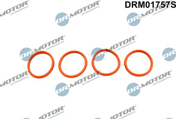 Lizarte DRM01757S - Kit guarnizioni, Collettore aspirazione autozon.pro