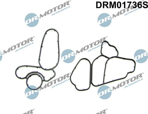 Lizarte DRM01736S - Kit guarnizioni, Radiatore olio autozon.pro