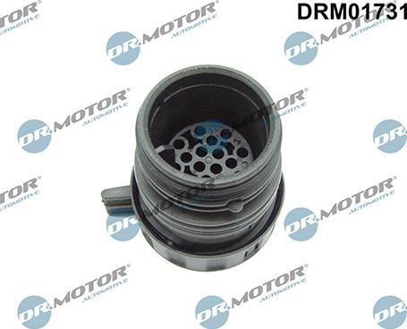 Lizarte DRM01731 - Alloggiamento presa, Cambio automatico-Centralina autozon.pro