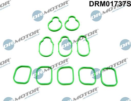 Lizarte DRM01737S - Kit guarnizioni, Collettore aspirazione autozon.pro