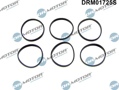 Lizarte DRM01725S - Kit guarnizioni, Collettore aspirazione autozon.pro