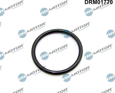 Lizarte DRM01770 - Guarnizione, Collettore aspirazione autozon.pro