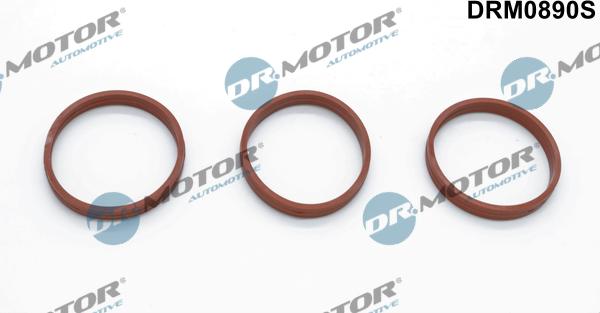 Lizarte DRM0890S - Kit guarnizioni, Collettore aspirazione autozon.pro