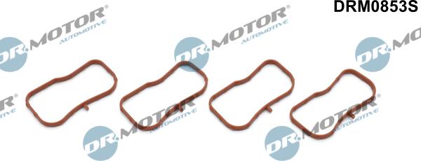 Lizarte DRM0853S - Kit guarnizioni, Collettore aspirazione autozon.pro