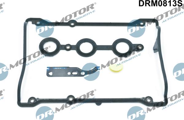 Lizarte DRM0813S - Kit guarnizioni, Copritestata autozon.pro