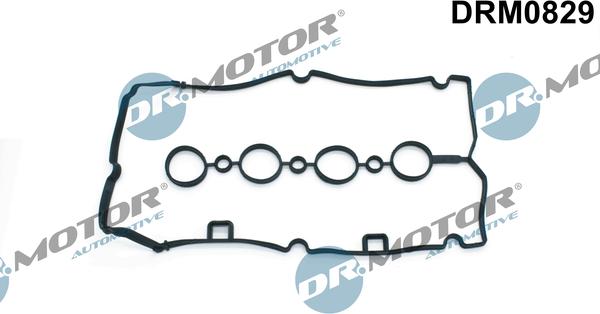 Lizarte DRM0829 - Guarnizione, Copritestata autozon.pro