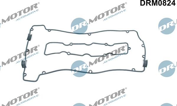 Lizarte DRM0824 - Guarnizione, Copritestata autozon.pro