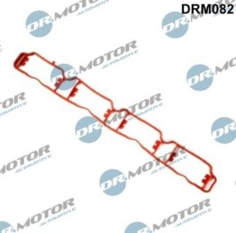 Lizarte DRM082 - Guarnizione, Collettore aspirazione autozon.pro