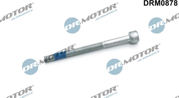 Lizarte DRM0878 - Bullone, Supporto iniettore autozon.pro