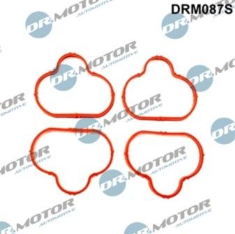 Lizarte DRM087S - Kit guarnizioni, Collettore aspirazione autozon.pro