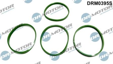 Lizarte DRM0395S - Kit guarnizioni, Collettore aspirazione autozon.pro