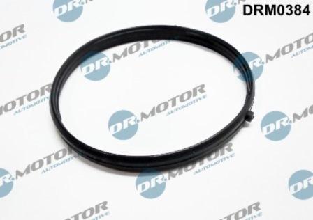 Lizarte DRM0384 - Guarnizione, Collettore aspirazione autozon.pro