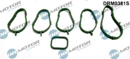 Lizarte DRM0381S - Kit guarnizioni, Collettore aspirazione autozon.pro