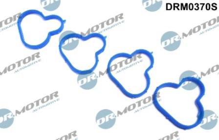 Lizarte DRM0370S - Kit guarnizioni, Collettore aspirazione autozon.pro