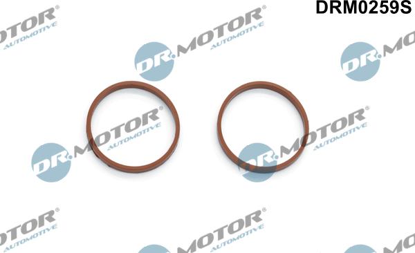 Lizarte DRM0259S - Kit guarnizioni, Collettore aspirazione autozon.pro