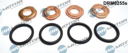 Lizarte DRM0255S - Kit guarnizioni, Iniettore autozon.pro