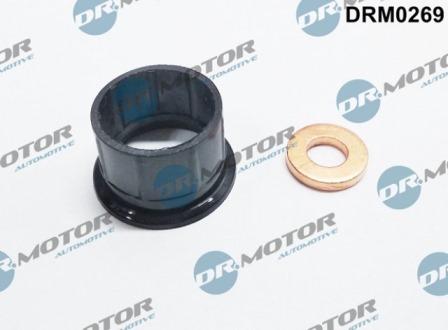 Lizarte DRM0269 - Kit guarnizioni, Iniettore autozon.pro