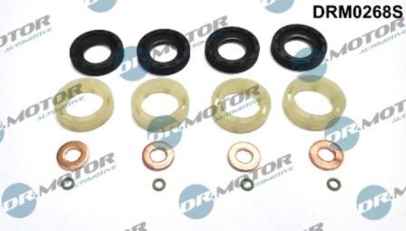 Lizarte DRM0268S - Kit guarnizioni, Iniettore autozon.pro