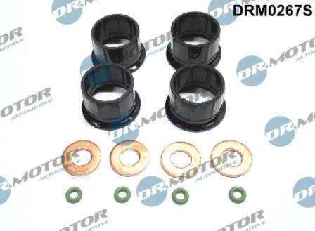 Lizarte DRM0267S - Kit guarnizioni, Iniettore autozon.pro