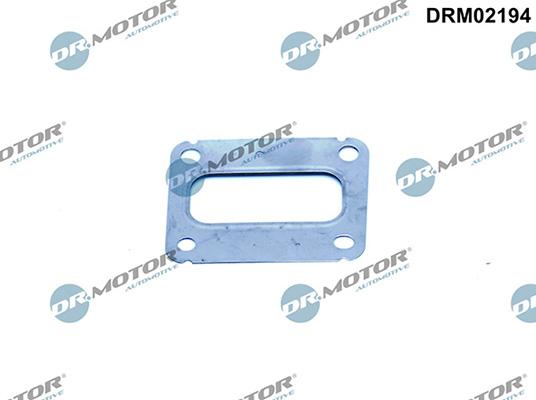 Lizarte DRM02194 - Guarnizione, Collettore gas scarico autozon.pro