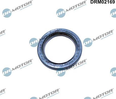 Lizarte DRM02169 - Paraolio, Albero a gomiti autozon.pro