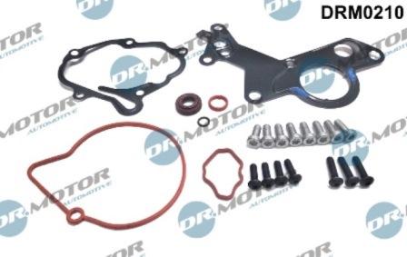 Lizarte DRM0210 - Kit riparazione, Pompa a depressione (Sistema frenante) autozon.pro