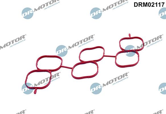 Lizarte DRM02117 - Guarnizione, Alloggiam. collettore aspirazione autozon.pro