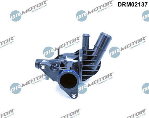 Lizarte DRM02137 - Termostato, Refrigerante autozon.pro