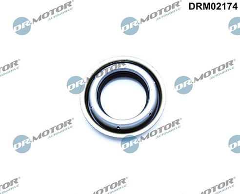 Lizarte DRM02174 - Anello tenuta, Differenziale autozon.pro