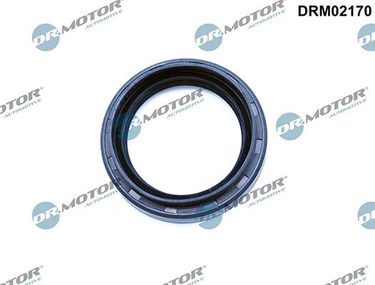 Lizarte DRM02170 - Anello tenuta, Differenziale autozon.pro