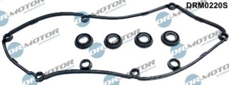 Lizarte DRM0220S - Kit guarnizioni, Copritestata autozon.pro