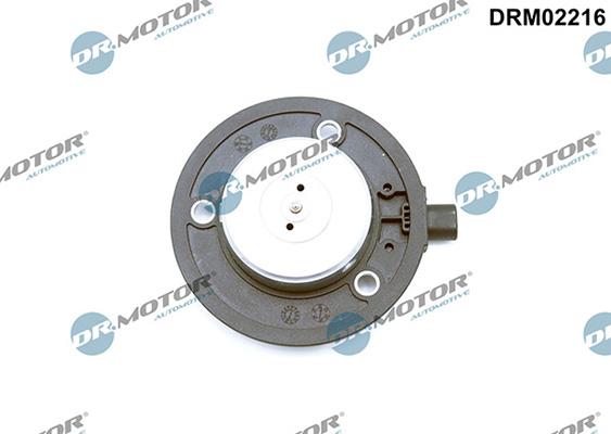 Lizarte DRM02216 - Magnete centrale, Regolazione albero a camme autozon.pro