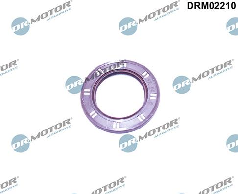 Lizarte DRM02210 - Paraolio, Albero a gomiti autozon.pro