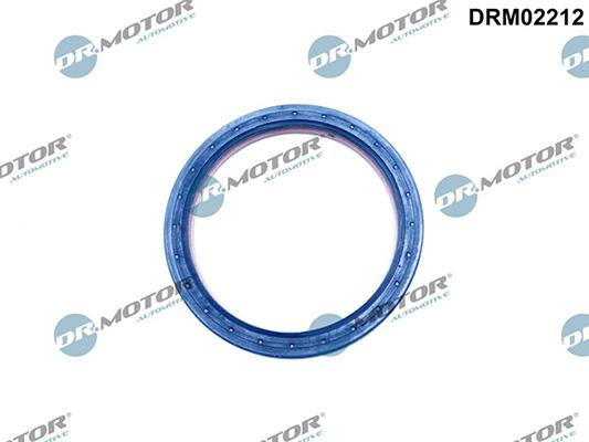 Lizarte DRM02212 - Paraolio, Albero a gomiti autozon.pro