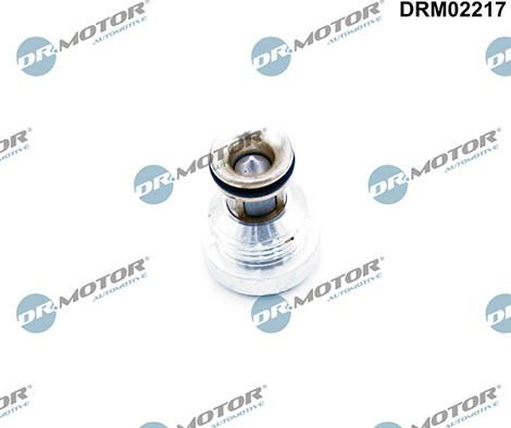 Lizarte DRM02217 - Valvola di non ritorno autozon.pro