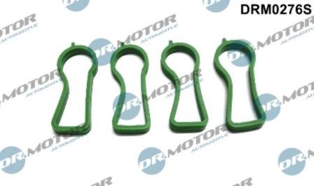 Lizarte DRM0276S - Kit guarnizioni, Collettore aspirazione autozon.pro