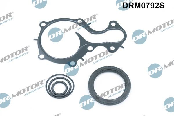 Lizarte DRM0792S - Kit guarnizioni, Monoblocco autozon.pro