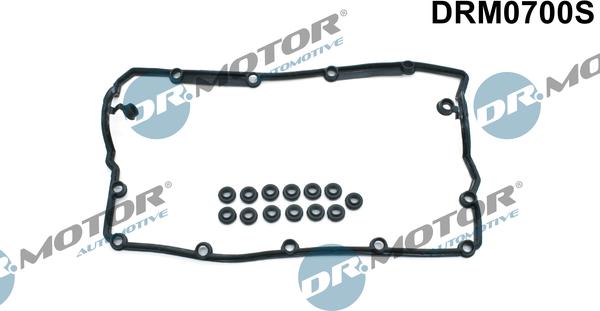 Lizarte DRM0700S - Kit guarnizioni, Copritestata autozon.pro