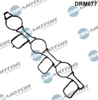 Lizarte DRM077 - Guarnizione, Collettore aspirazione autozon.pro