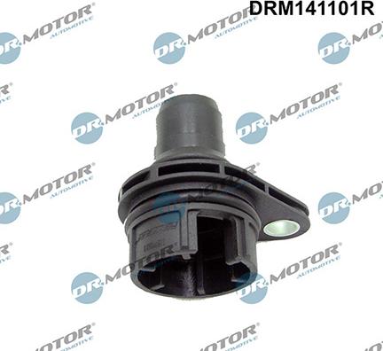 Lizarte DRM141101R - Condotto, Valvola-AGR autozon.pro