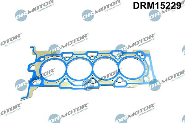 Lizarte DRM15229 - Guarnizione, Testata autozon.pro