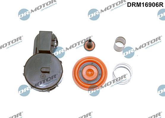 Lizarte DRM16906R - Membrana, Ventilazione monoblocco autozon.pro