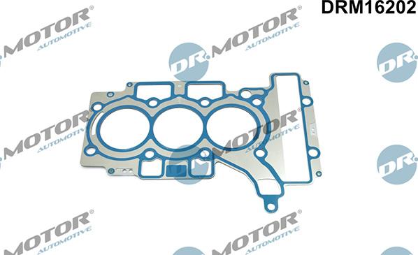 Lizarte DRM16202 - Guarnizione, Testata autozon.pro