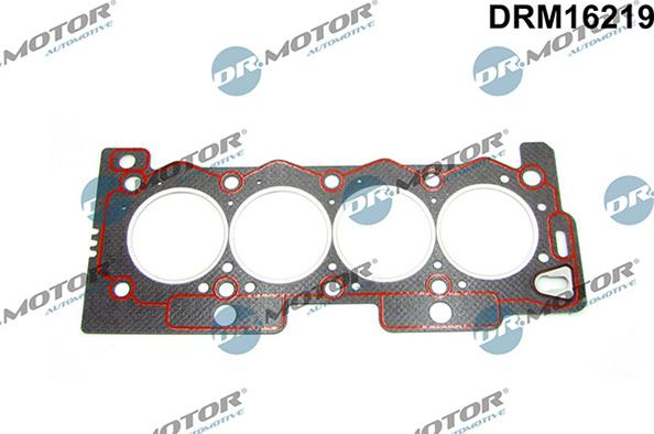 Lizarte DRM16219 - Guarnizione, Testata autozon.pro