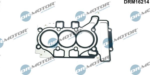 Lizarte DRM16214 - Guarnizione, Testata autozon.pro