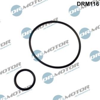 Lizarte DRM116 - Kit guarnizioni, Collettore aspirazione autozon.pro