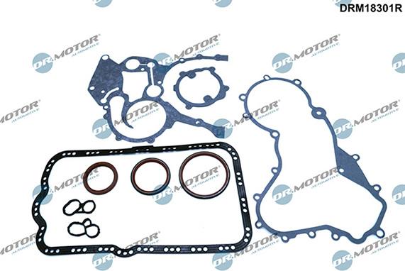 Lizarte DRM18301R - Kit guarnizioni, Monoblocco autozon.pro